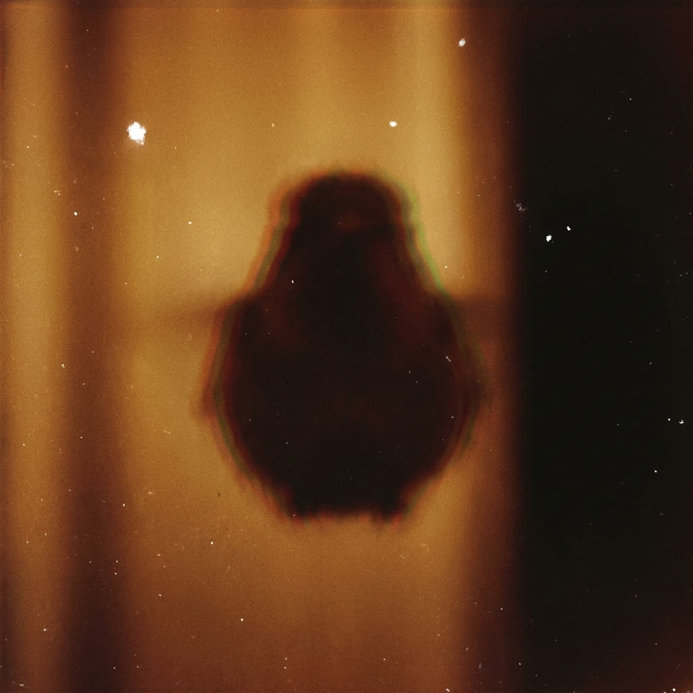 Grave News from the Front — album cover
